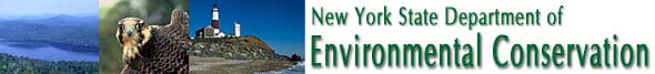 Generic picture for NYS Environmental Conservation